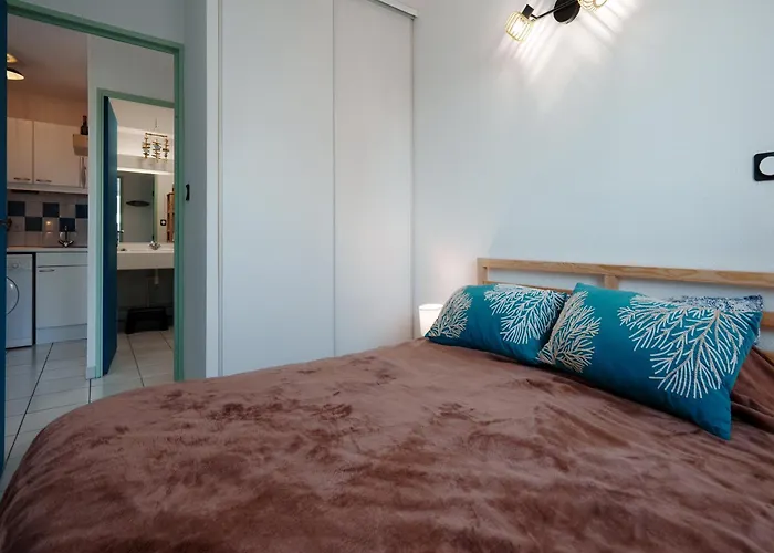 Apartman Palme D Or N 50 2p5 Agde