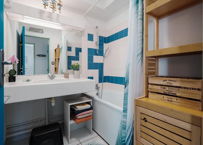 Palme D Or N 50 2p5 Apartman Agde